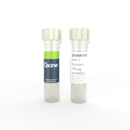 Recombinant human DKK-1 protein