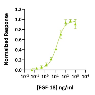 Qk069-FGF-18-bioactivity