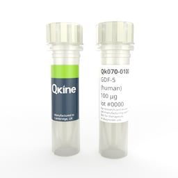 Recombinant human GDF-5 protein