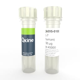 Recombinant human IL-7 protein