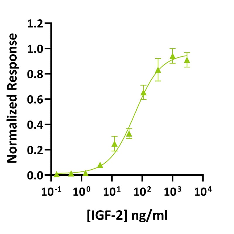 Qk118-IGF-2-Datasheet-graph_-Qkine-protein
