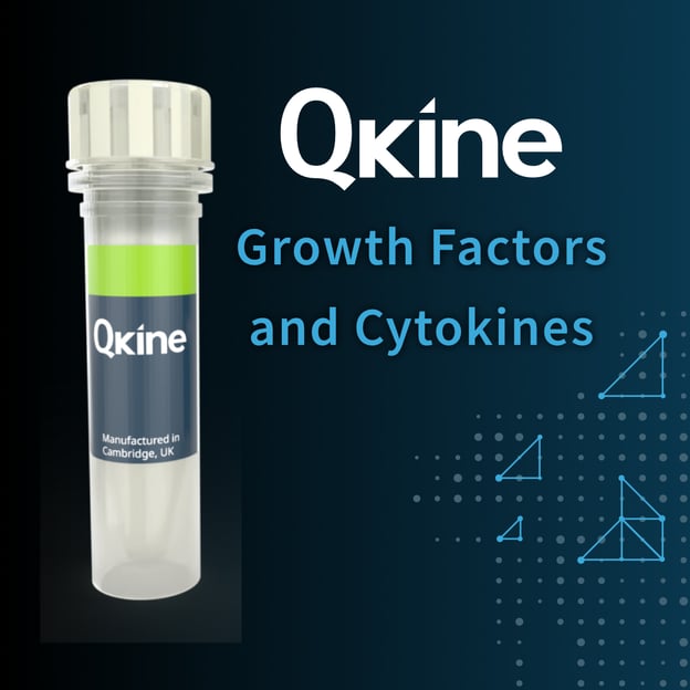 Qkine 3-for-2 product campaign hero 1