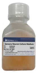 Sensory Neuron Culture Medium