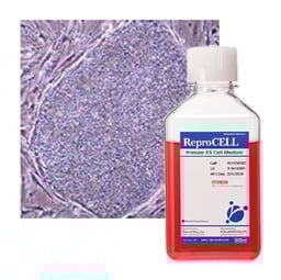 Primate ES Cell Medium