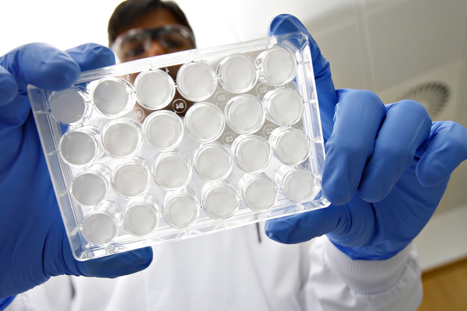 Tissue Testing Device What is Human Tissue Testing?