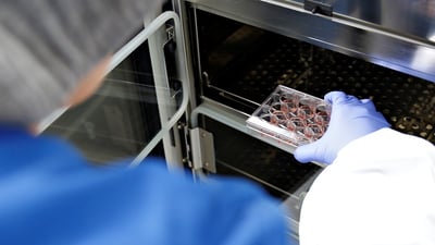 Genome editing