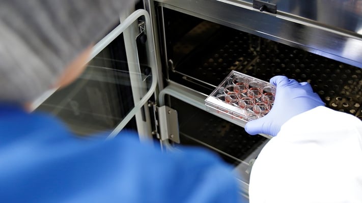 Genome editing