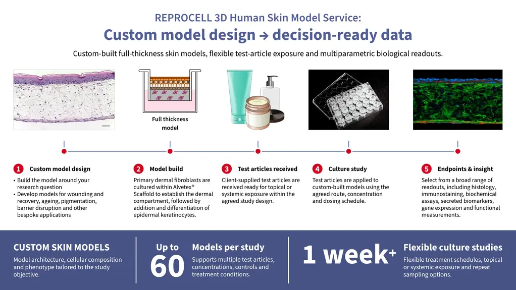 REPROSKIN service infographic 2