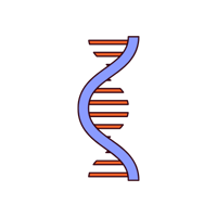 RNA single strand