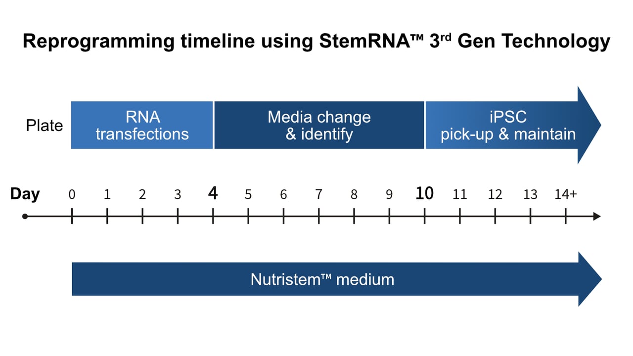 Diagram showing the mechanism by which StemRNA technology blocks the natural cell defence mechanisms against foreign RNA 