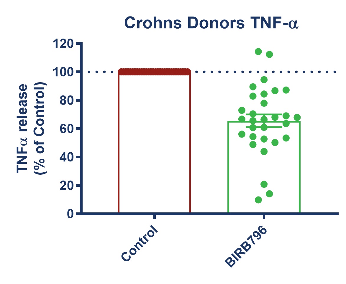 Response to BIRB796 - TNF Release in SEB-stimulated biopsies 2