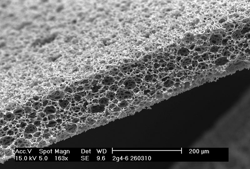 SEM Alvetex Structure-1