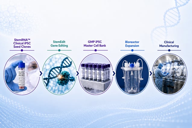 Scaling iPSC Manufacturing:&nbsp;From Cell Line Development to Clinical-Production