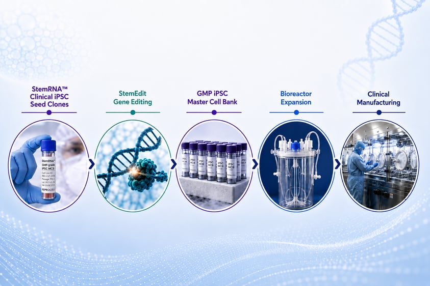 Scaling iPSC Manufacturing:&nbsp;From Cell Line Development to Clinical-Production