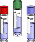 Seed clones for MCB generation