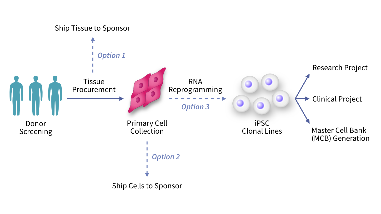 Stem Cell Capabilities