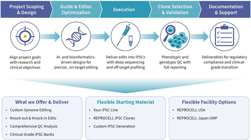 StemEdit service overview 1
