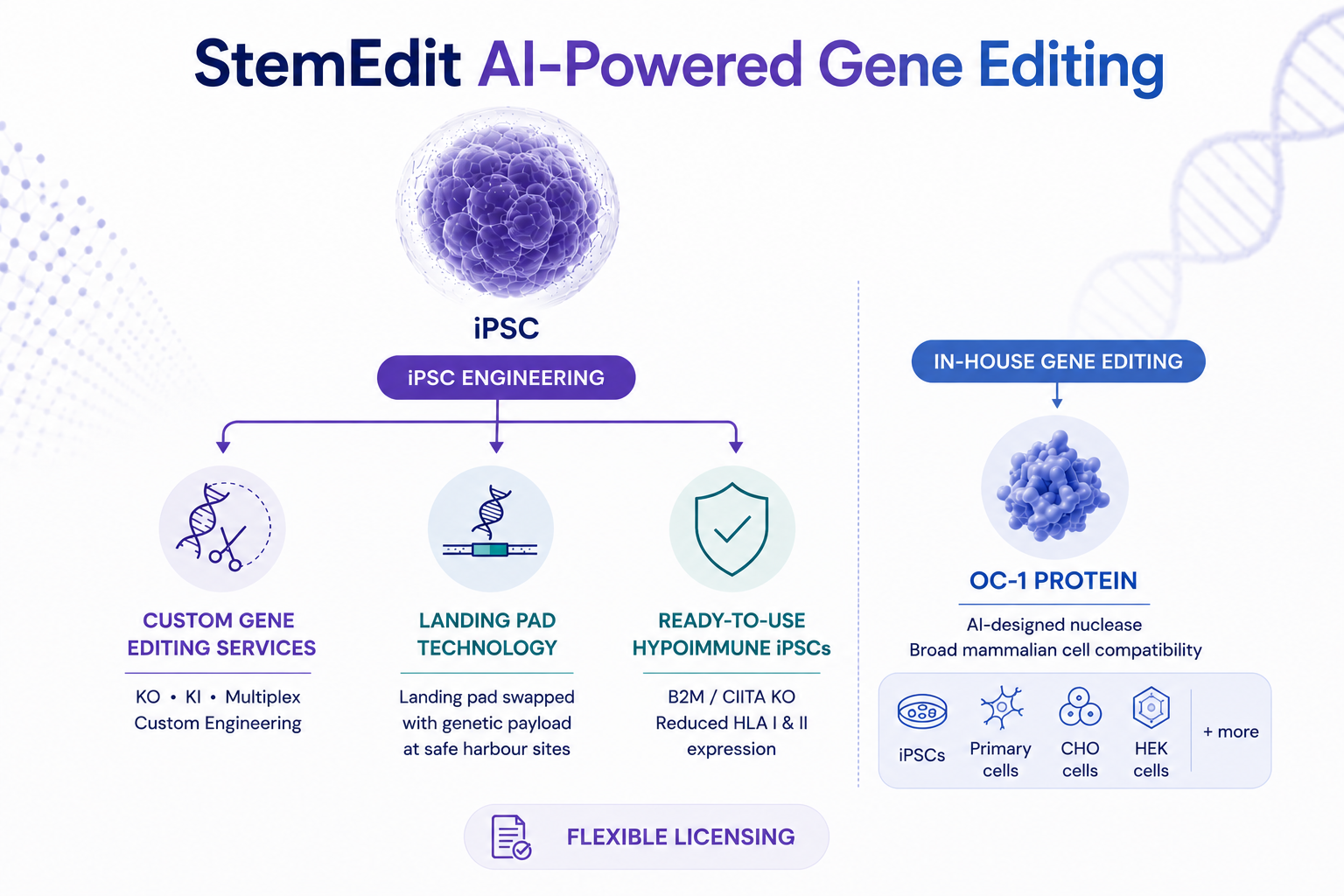 StemEdit-gene-editing-capabilites-overview