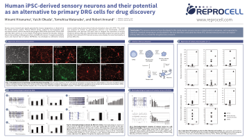 POSTER: Human iPSC-derived sensory neurons and their potential as an alternative to primary DRG cells for drug discovery