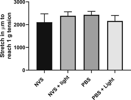 Stretch required to reach 1 g tension in isolated human popliteal artery rings pre-treated with NVS, NVS light, PBS, or PBS light. All groups showed similar stretch properties