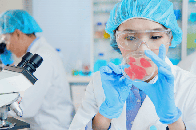 Can Stem Cells Revolutionize Sustainable Food Production?
