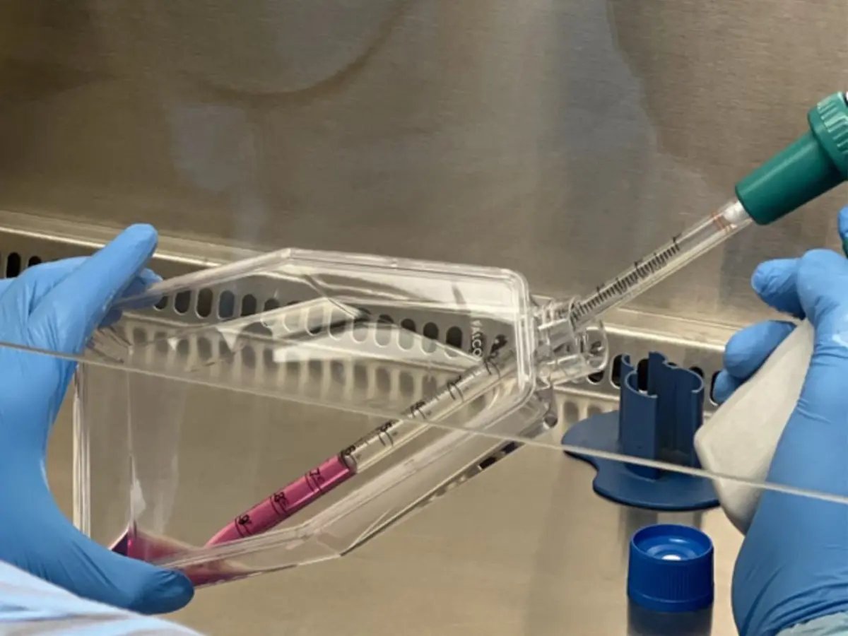 TC flask and pipette - 4x3