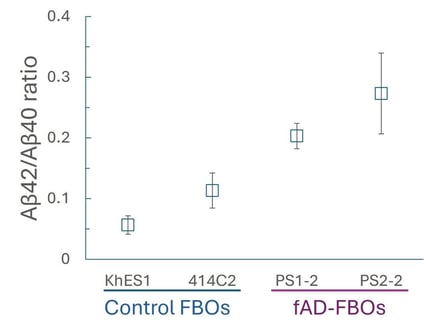 The ratio of Aβ42 to Aβ40 in the culture medium of 120-day FBOs, as measured using ELISA