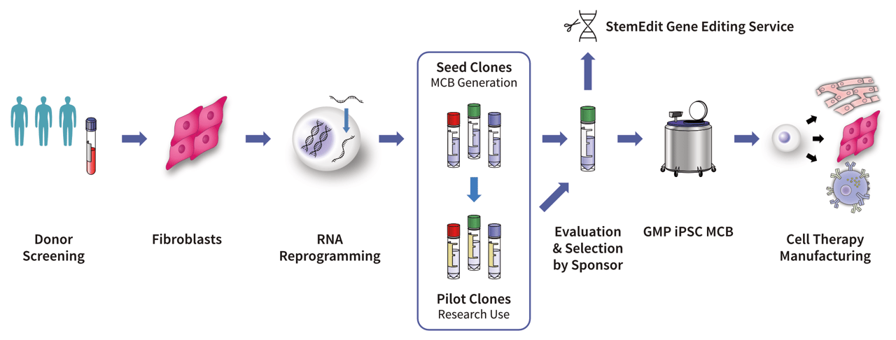 Updated Clinical Workflow figure