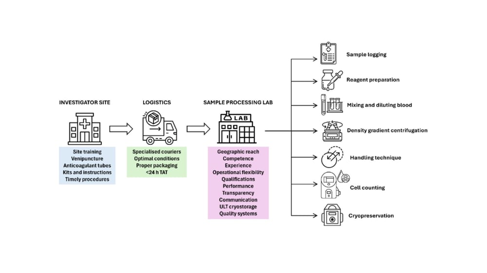 Streamlining PBMC Processing for Reliable Results in Multi-Site Clinical Trials:&nbsp;Key Challenges&nbsp;and Solutions