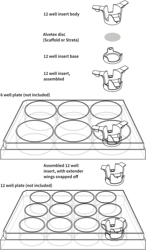 alvetex-12-well-insert-drawing