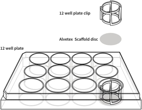 alvetex-12-well-plate-drawing