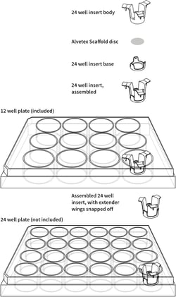 AVP012-12/AVP012-48/AVP012-96 - Alvetex Scaffold 24 Well Insert