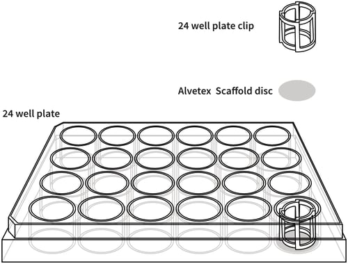 alvetex-24-well-plate-drawing