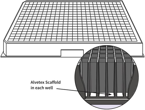 alvetex-384-well-plate-drawing-2