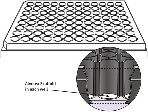 alvetex-96-well-plate-drawing
