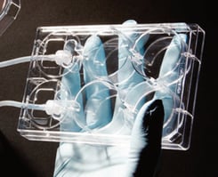 alvetex-formats-perfusion-plate