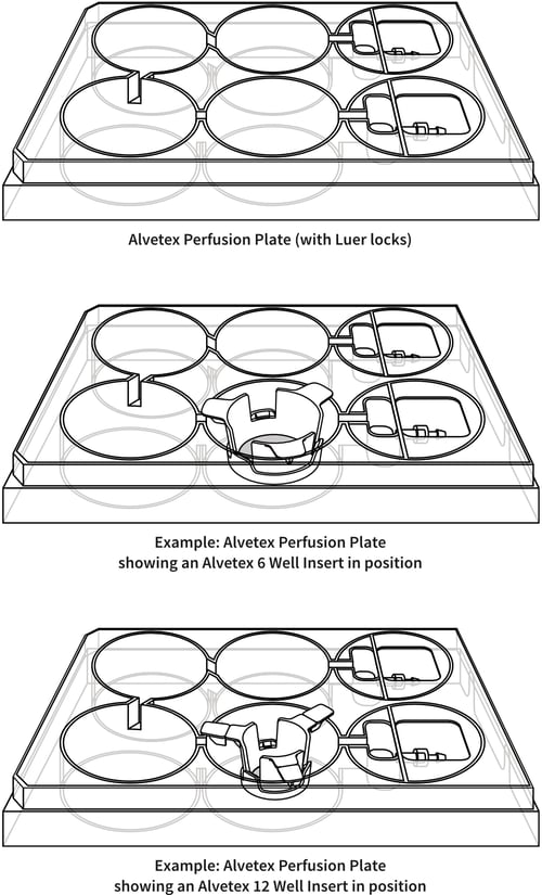 alvetex-perfusion-plate-drawing