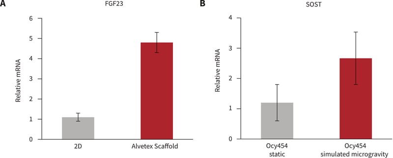 Figure 4: A: FGF23 increases with 100 nM hPTH(1-34) in 3D culture. B: SOST upregulated by simulated micro-gravity.