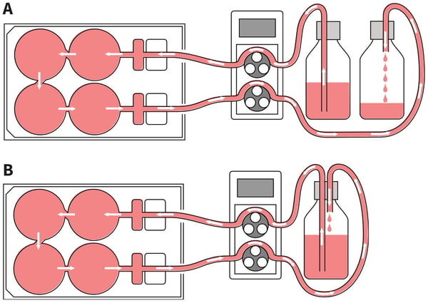 alvetex-scaffold-app-note-08-fig-07