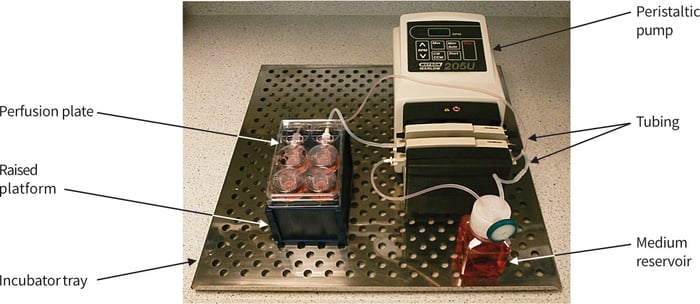 Photograph showing typical arrangement for the set-up of the Perfusion Plate.