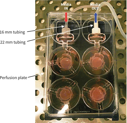 Photograph showing Alvetex Perfusion Plate set-up and connected to peristaltic pump.