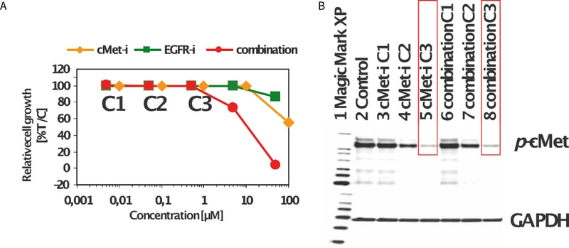 Viability of Xenografts grown in ALvetex Scaffold 3D cell culture was analyzed with Cell Titer-Glo® assay from Promega..