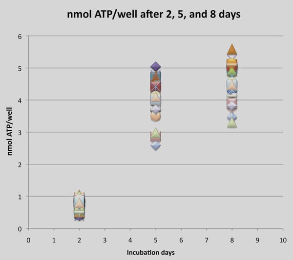 Cell viability assay (CellTiter-Glo assay) of HCT-116 cells.