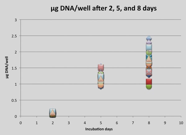 DNA quantification (Quant-iT PicoGreen Assay Kit) of HCT-116 cells.