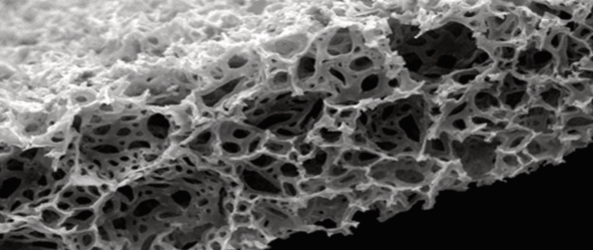 Alvetex Scaffold (scanning electron microscope image)