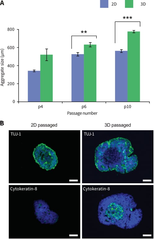 Passaging pluripotent stem cells in 3D results in their enhanced growth and differentiation when sub-sequently cultured as 3D suspended cell aggregates.
