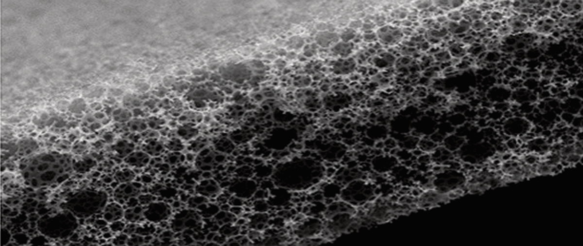 Alvetex Strata (scanning electron microscope image)