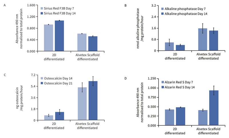 Cell growth on Alvetex Scaffold enhances osteogenic differentiation of rat MSCS compared to conventional 2D culture.