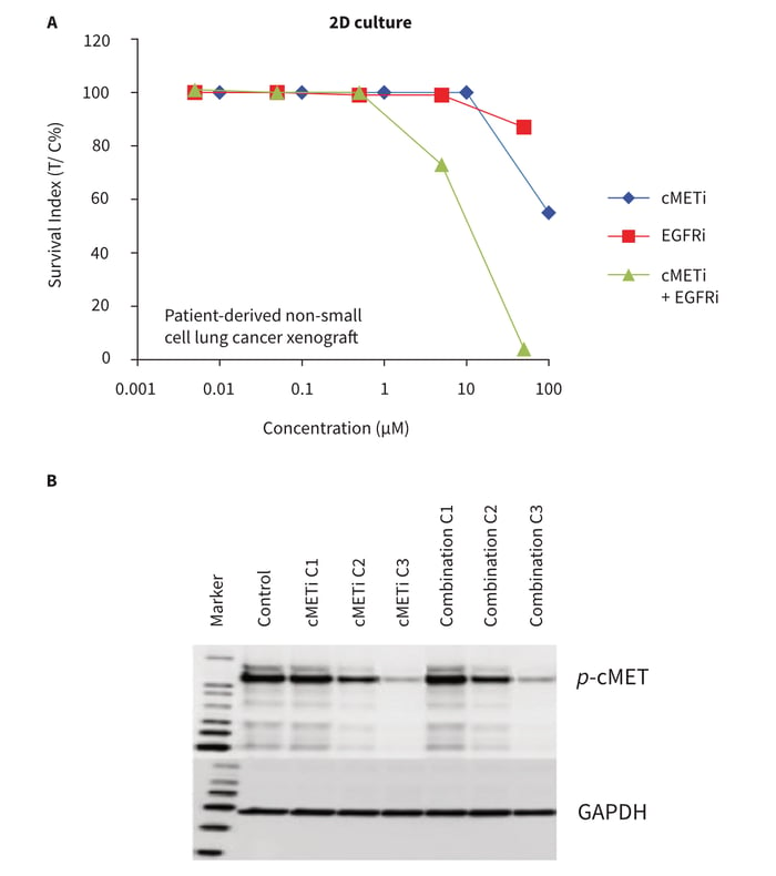  Drug combination study in conjunction with subsequent biomarker expression analysis post treatment. 