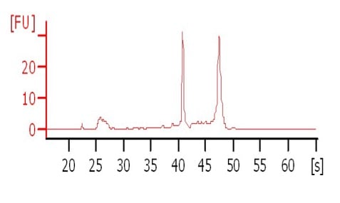 bioanalyzer-analysis-2-1